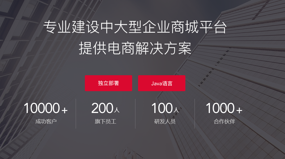 網(wǎng)上商城開(kāi)發(fā)